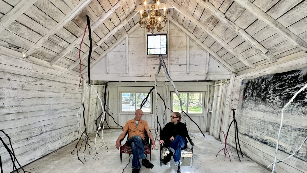 Two men sitting in a wooden white room with hanging tree branches